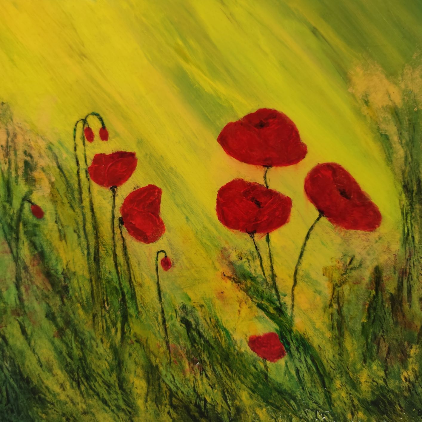 Poppies